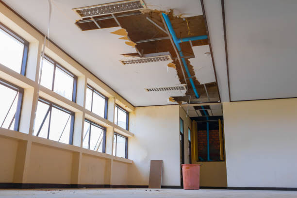 Best Carpet water damage restoration  in Heber Overgaard, AZ