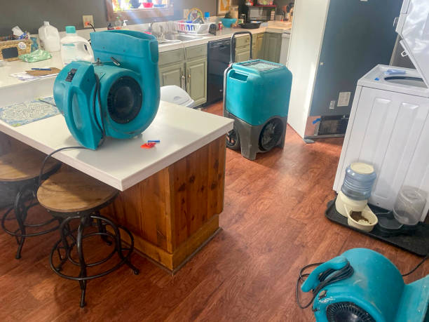 Best Water damage cleanup near me  in Heber Overgaard, AZ