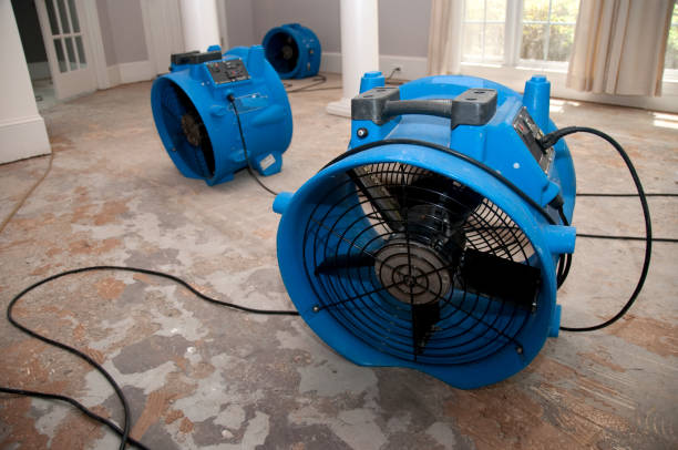 Best Residential water damage restoration  in Heber Overgaard, AZ